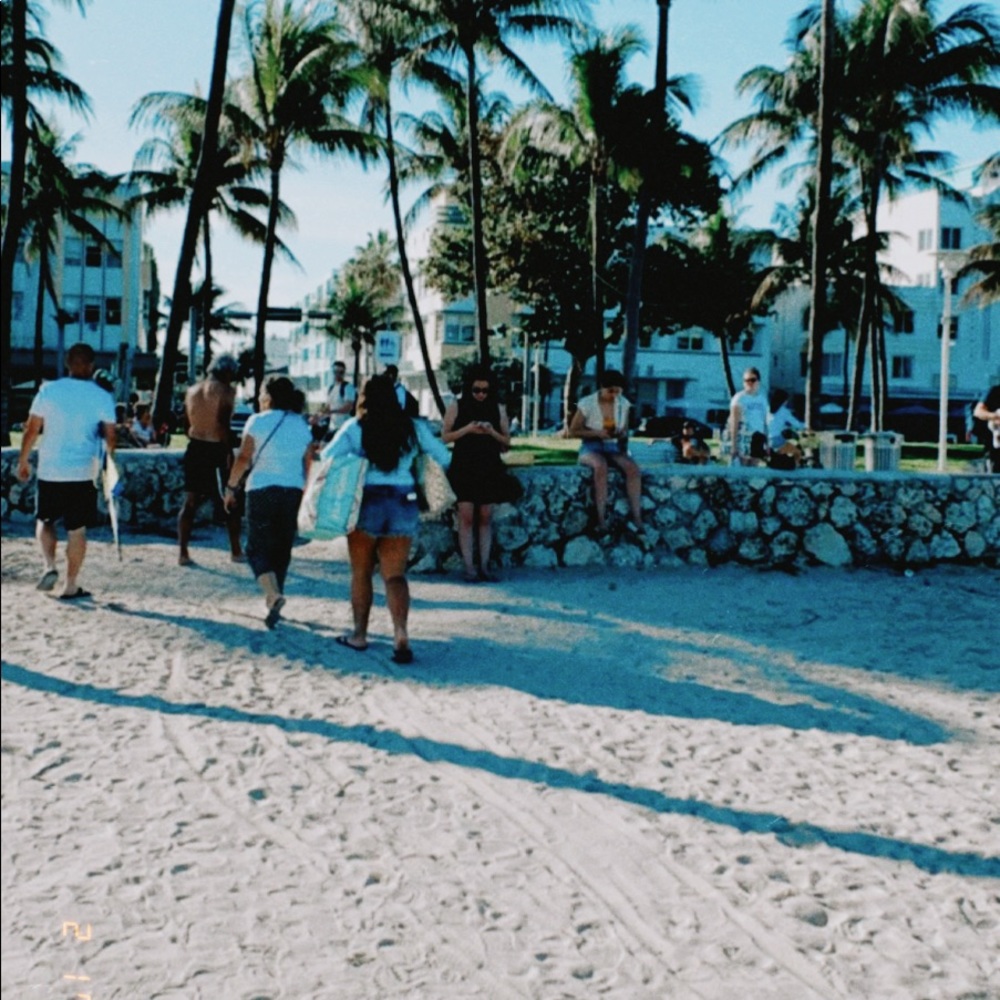 Meet your Posher, Lilly